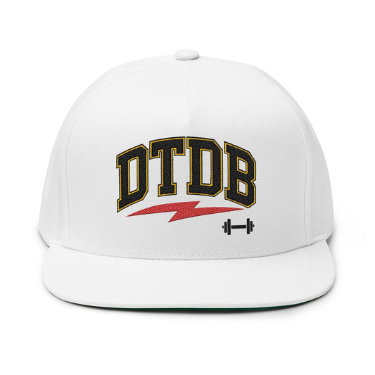 Stylish Flat Bill Cap, Embroidered Sports Cap for Active Lifestyle, Perfect Gift for Gym Lovers, Custom Dad Hat, Trendy Streetwear